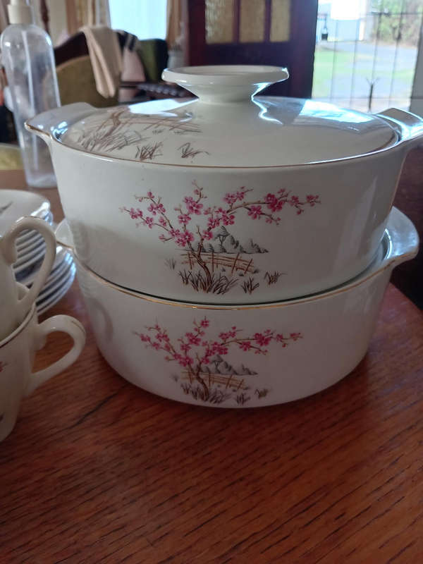 Alfred Meakin Dinner set pieces