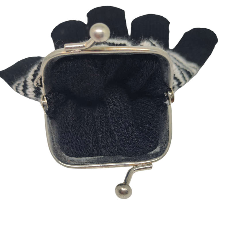 Interesting little coin purse