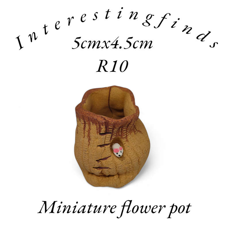 Super cute miniature flower pot