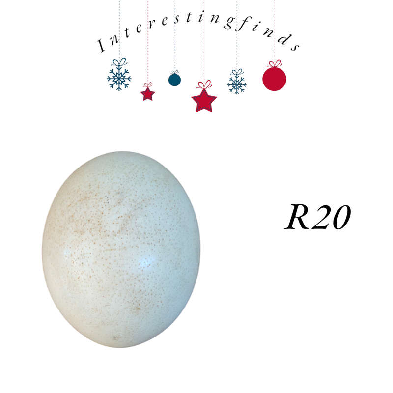 Unpainted ostrich egg