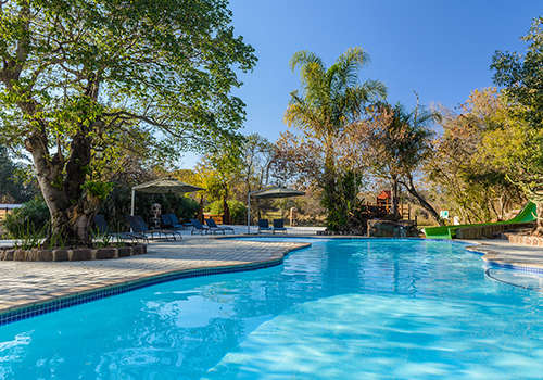 Midweek at Waterberg Game Park 24-28 February 2025