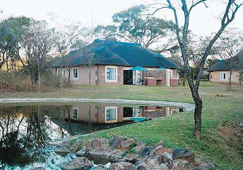 Midweek at Waterberg Game Park 24-28 February 2025