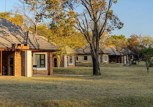 Midweek at Waterberg Game Park 24-28 February 2025