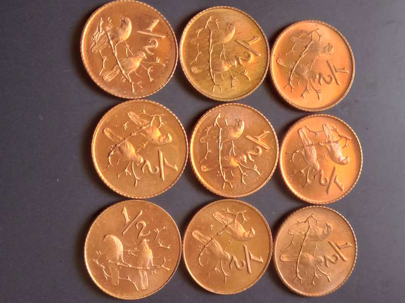 SOUTH AFRICA PROOF HALF CENTS "RARE FIND" UN DOCUMENTED NOT INTO DISTRIBUTION