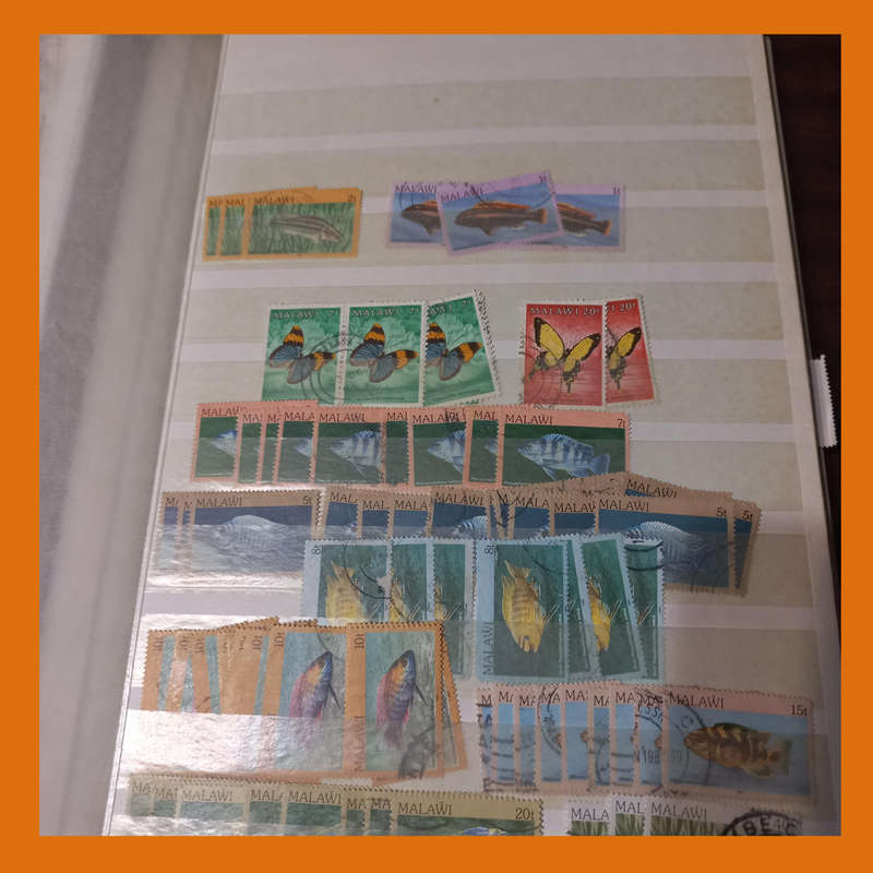 Southern & East Africa Stock Book  30 Double-Sided Pages, 1970s 1980s Focus