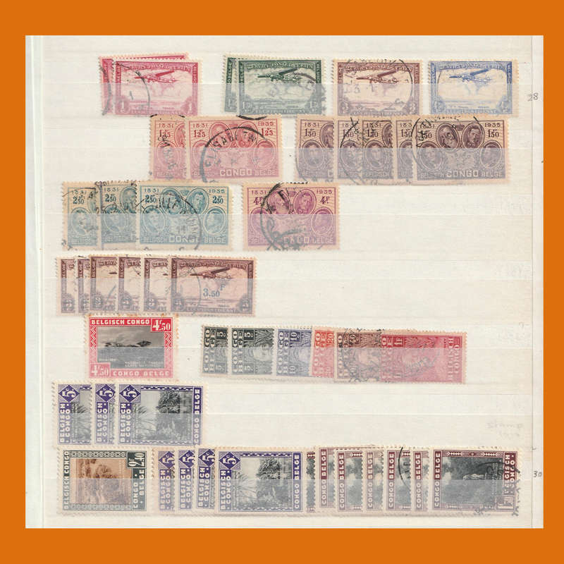 Belgian Congo in 10-Page Stockbook  Full Era Selection incl. Postage Dues