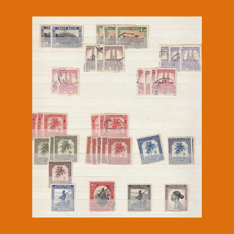 Belgian Congo in 10-Page Stockbook  Full Era Selection incl. Postage Dues