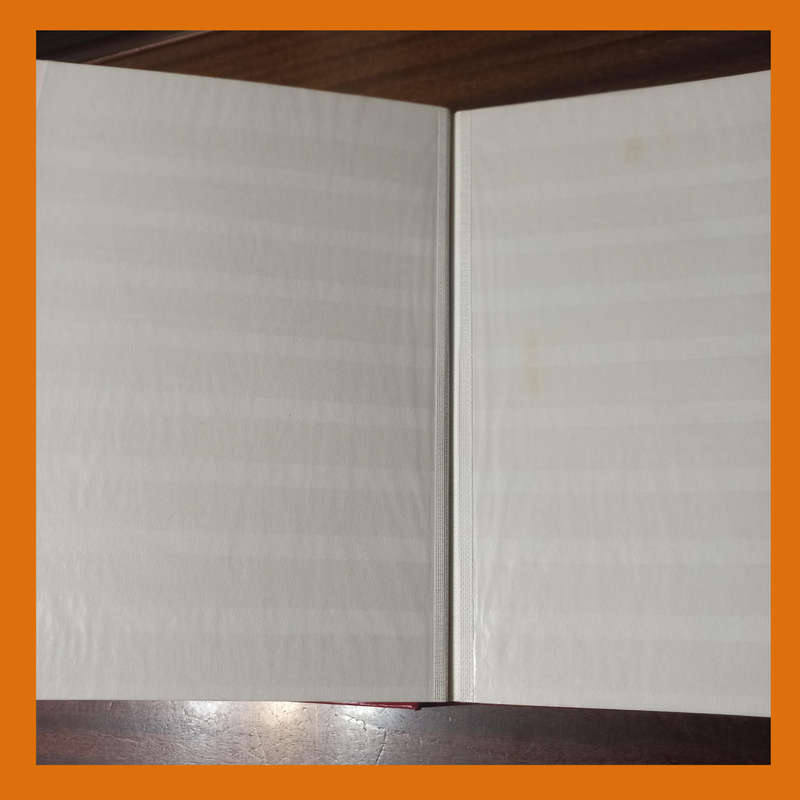 Empty Stock Book 30 Double-Sided White Pages (9 Strips)  Very Good Condition