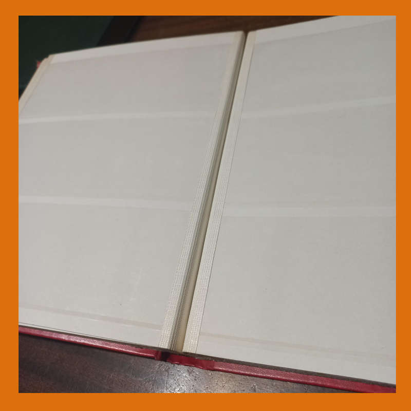 Lighthouse Control Block Stock Book  16 Pages, 3 Clear Strips per Page (Empty, Near-New)
