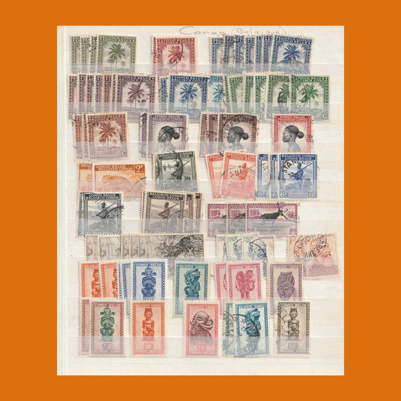 Belgian Congo in 10-Page Stockbook  Full Era Selection incl. Postage Dues