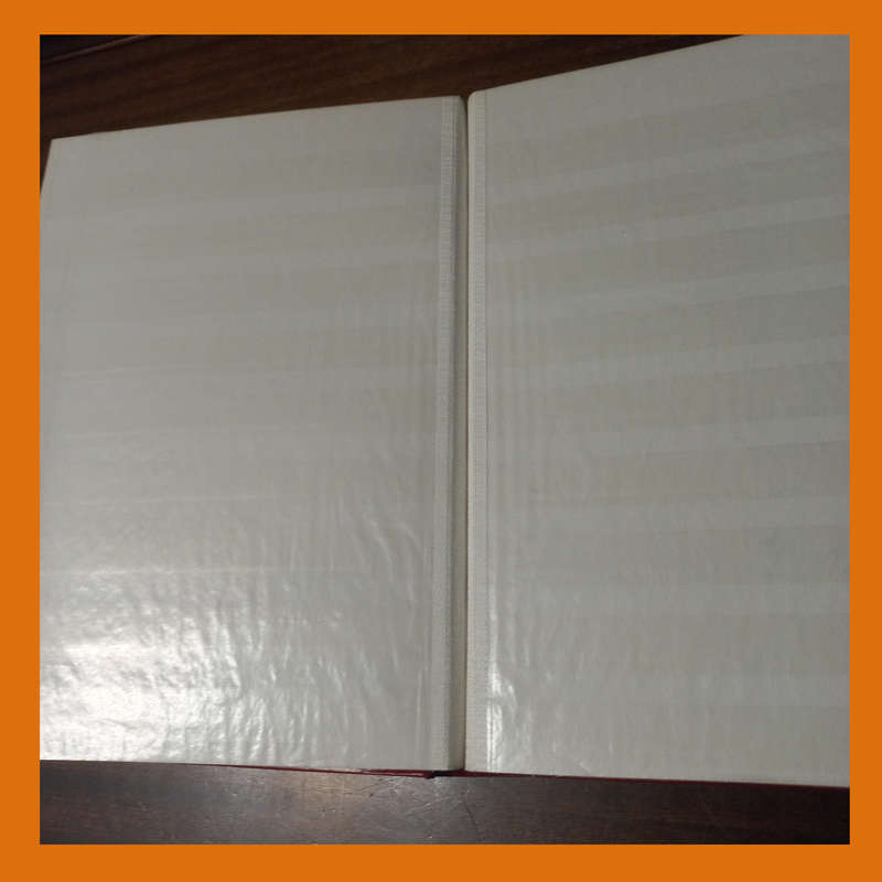 Empty Stock Book 30 Double-Sided White Pages (9 Strips)  Very Good Condition