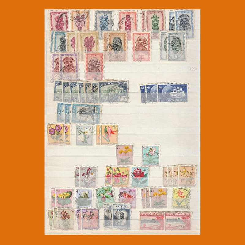 Belgian Congo in 10-Page Stockbook  Full Era Selection incl. Postage Dues