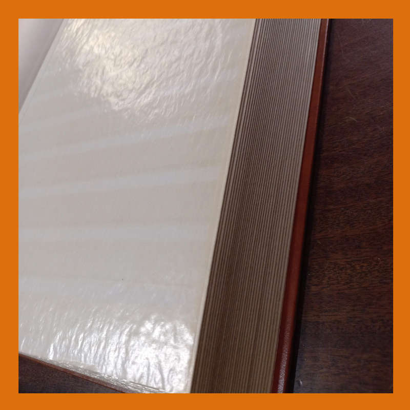 Empty King Lighthouse Stock Book  32 Double-Sided white Pages, 9 Strips