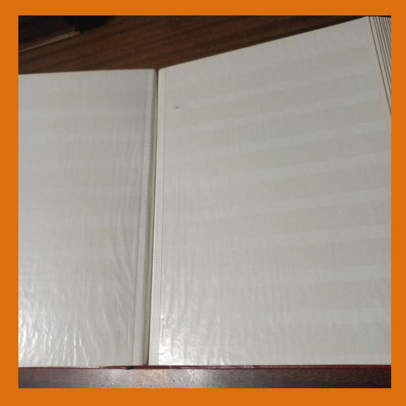 Empty Stock Book 30 Double-Sided White Pages (9 Strips)  Very Good Condition
