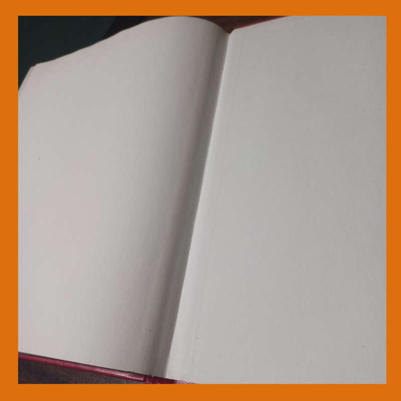 Lighthouse Control Block Stock Book  16 Pages, 3 Clear Strips per Page (Empty, Near-New)