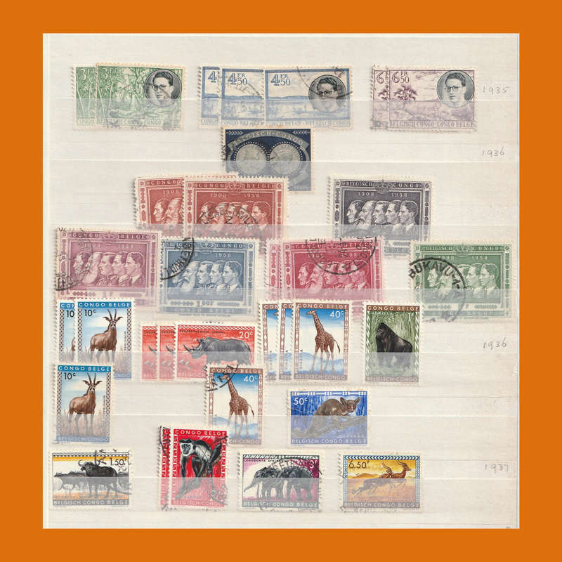 Belgian Congo in 10-Page Stockbook  Full Era Selection incl. Postage Dues