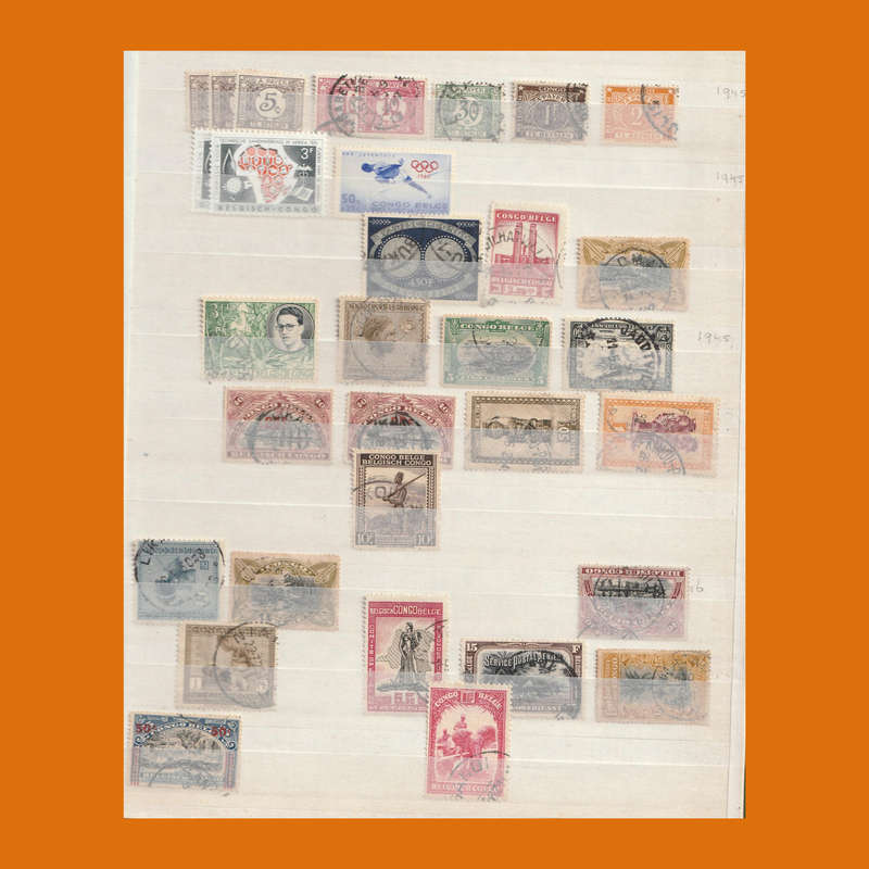 Belgian Congo in 10-Page Stockbook  Full Era Selection incl. Postage Dues