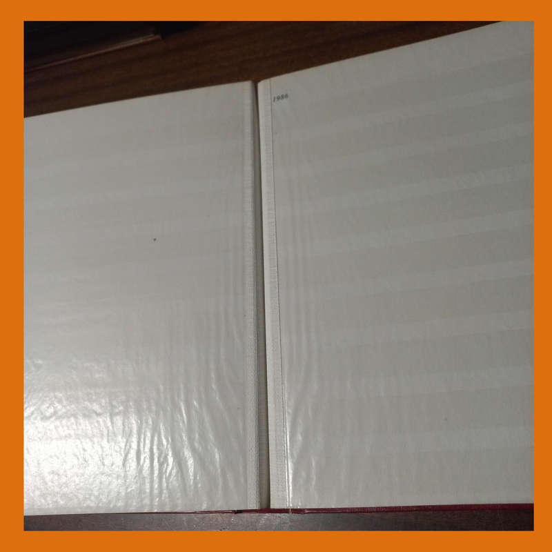 Empty Stock Book 30 Double-Sided White Pages (9 Strips)  Very Good Condition