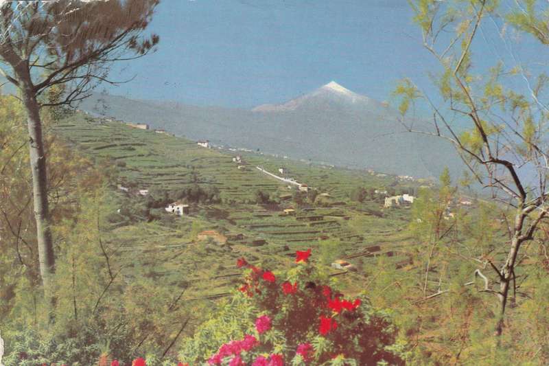 Post Card Spain 1963 - Tenerife Typical Landscape Mountain with snow Valman