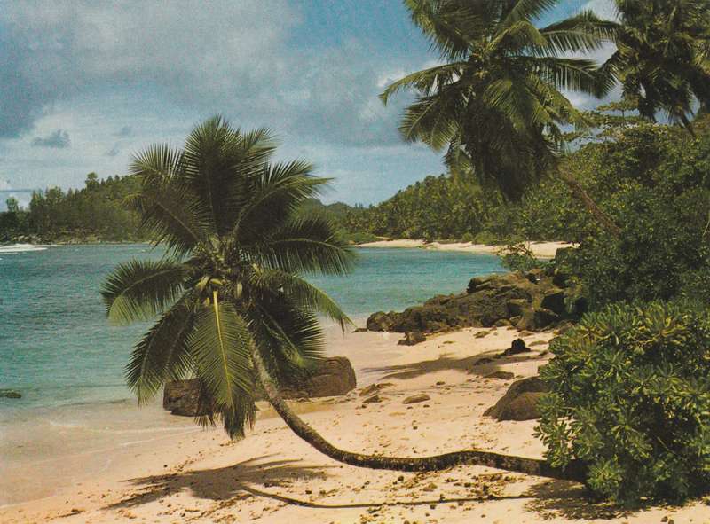 Post Card Seychelles - Sun Sea Solitude Mathiot Trees