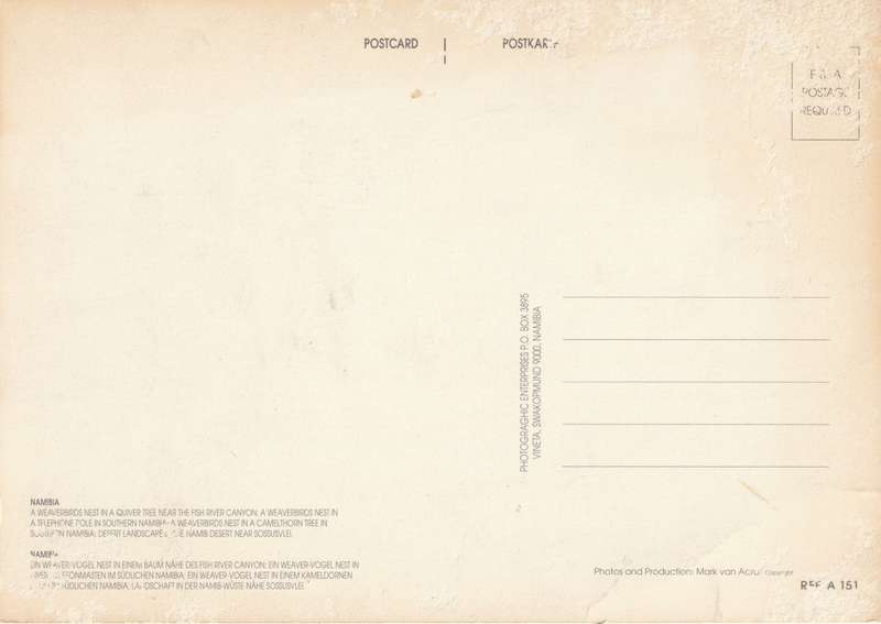 Namibia Namib Desert Weaver Birds Nests Large Post Card