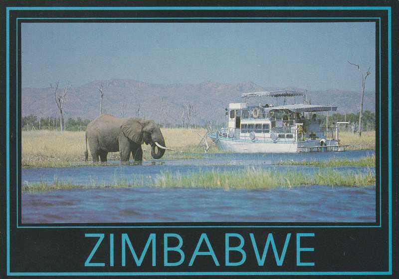 Zimbabwe Elephants Elephant Boat