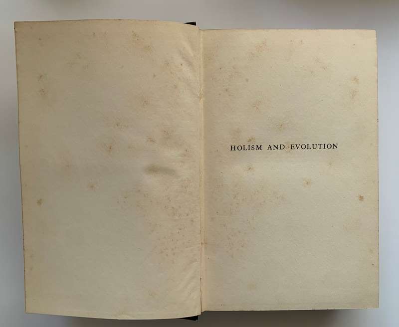 Holism and Evolution
