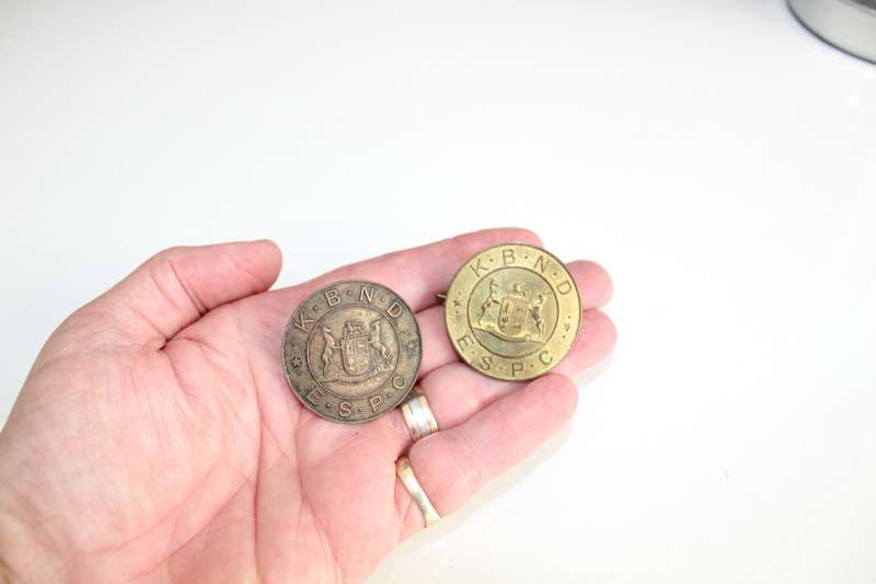 Essential Services Protection Corps badges x 2!