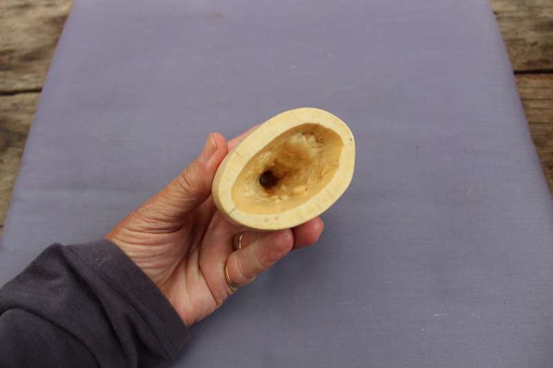 Tooth (spermwhale?)
