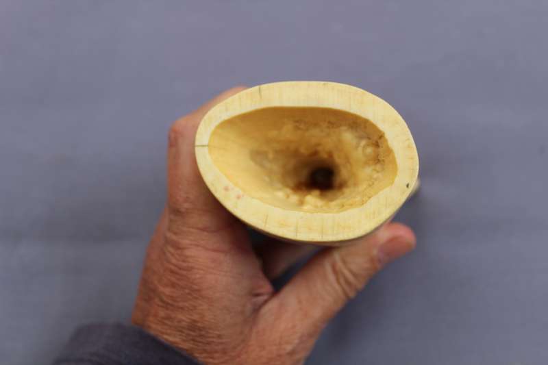 Tooth (spermwhale?)
