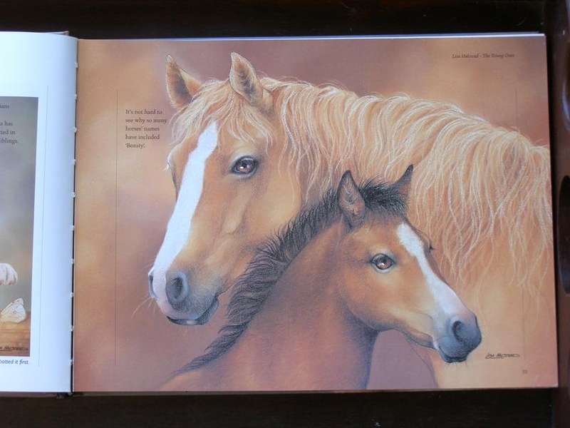 BOOK - LOYAL COMPANIONS by LISA HALSTEAD (Artist) 2012