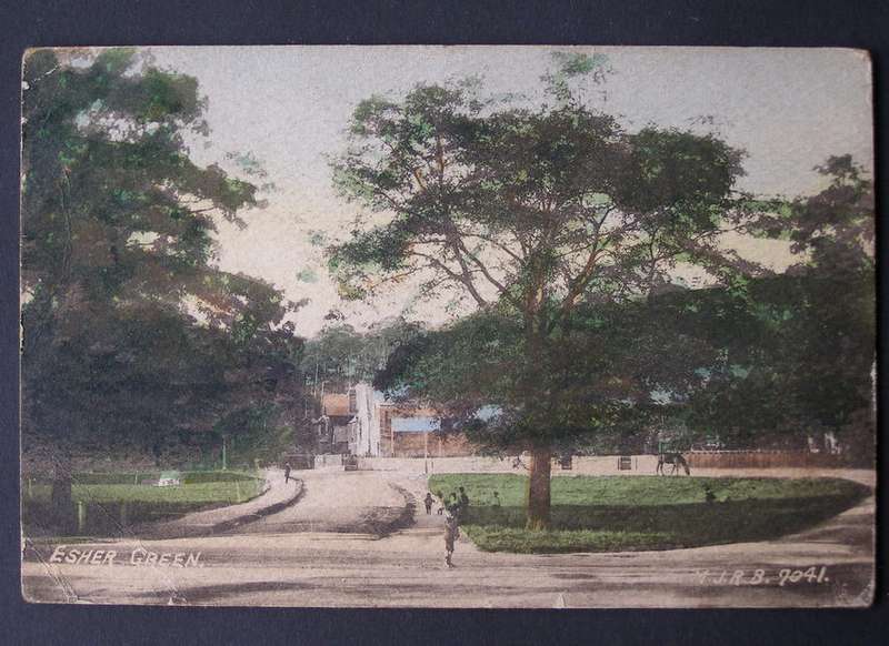Antique British POSTCARD - Esher Green 1911