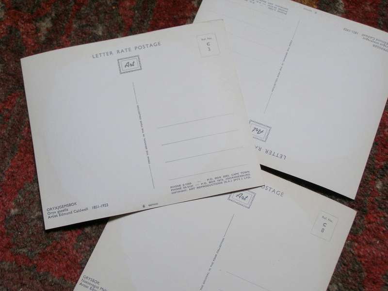 Three Large Art POSTCARDS - Oryx, Klipspringer and Grysbok