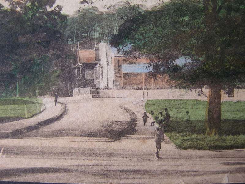 Antique British POSTCARD - Esher Green 1911