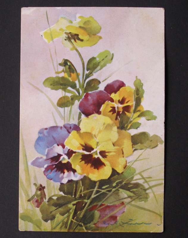 Swiss Flower POSTCARD