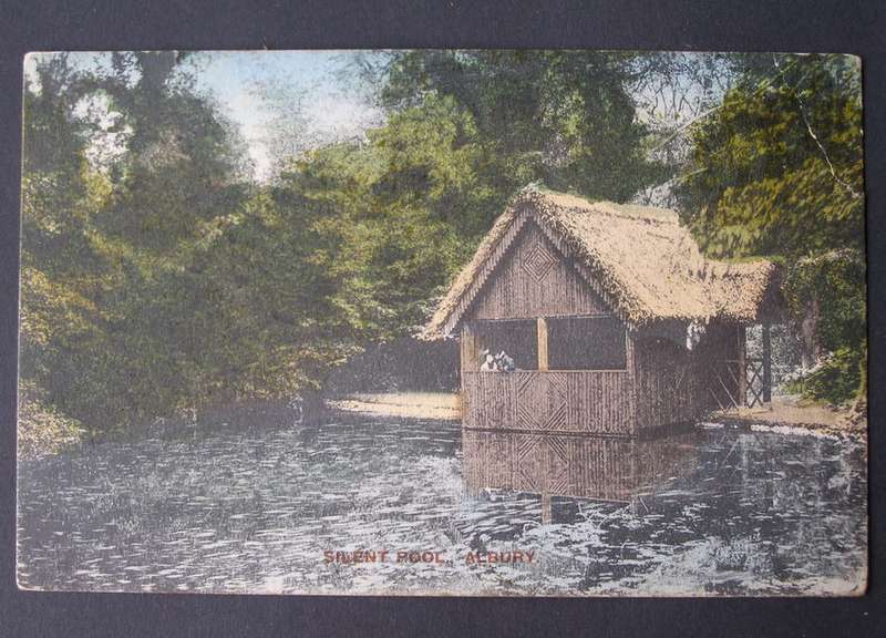 Lloyd Antique POSTCARD - Silent Pool, Albury