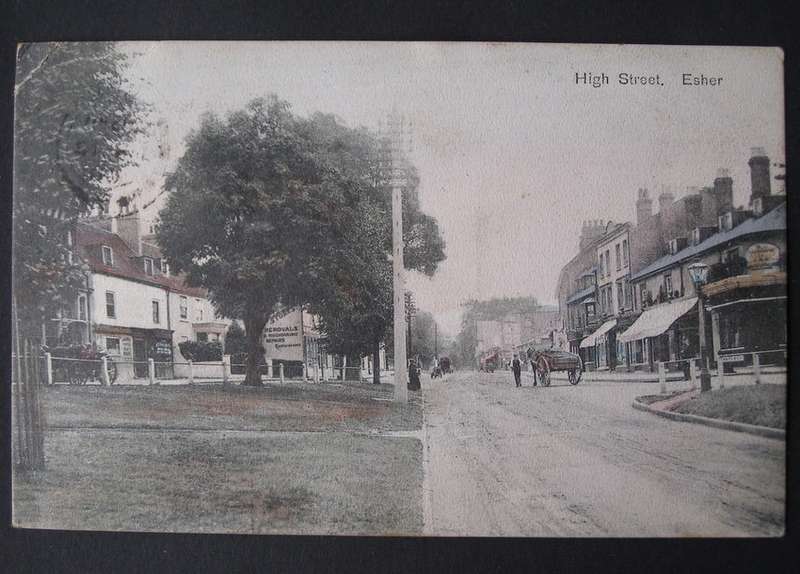 A.S. Series POSTCARD - High Street, Esher 1908