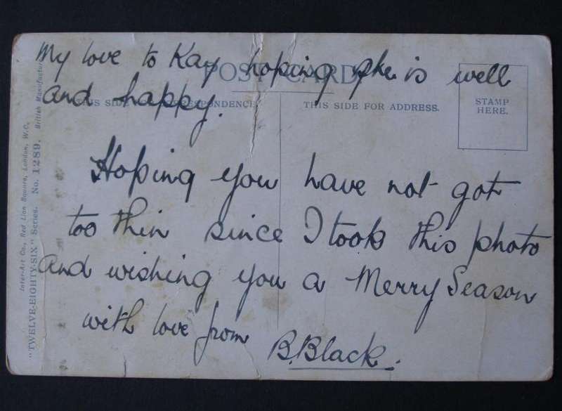 Inter-Art Co. POSTCARD - Have you a little fairy in your home?