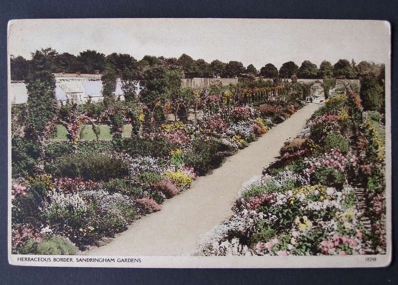 Vintage British POSTCARD - Herbaceous Border, Sandringham Gardens 1934