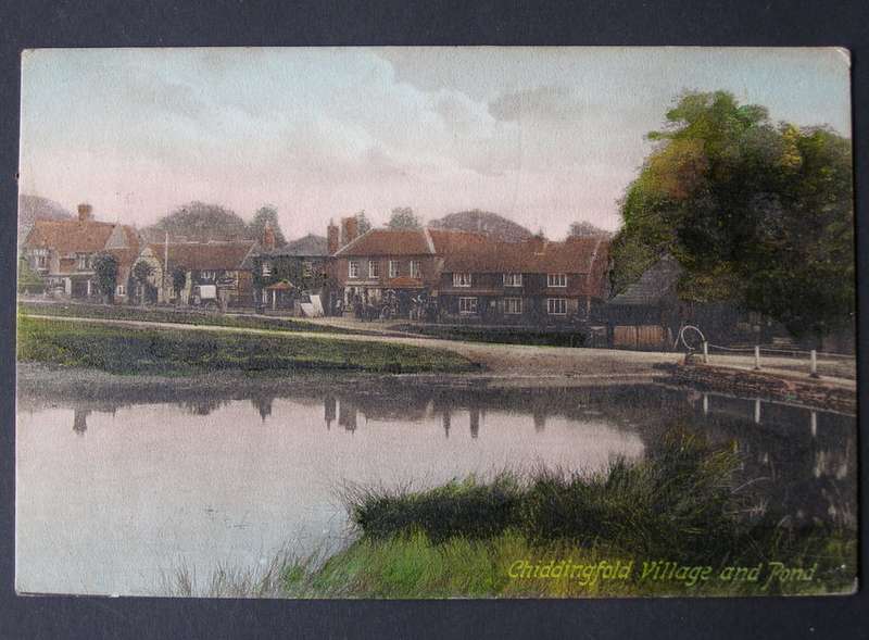 Frith's Series POSTCARD - Chiddingfold Village and Pond 1916