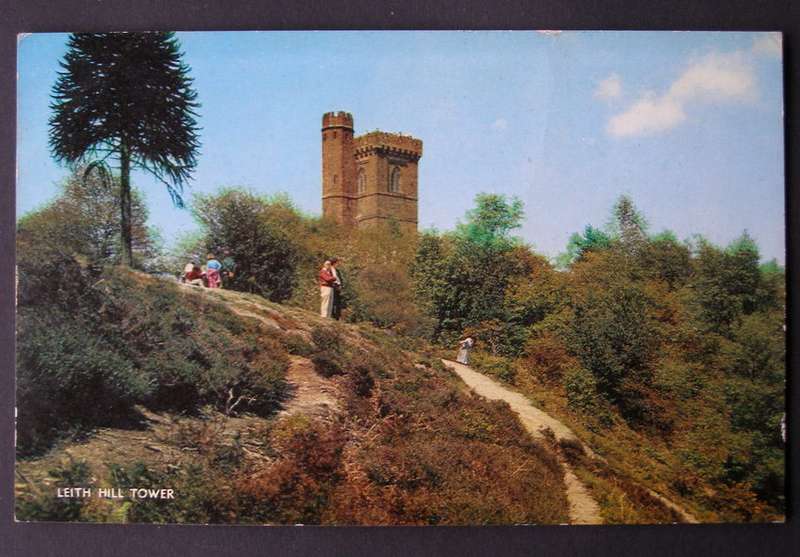 Salmon POSTCARD - Leith Hill Tower