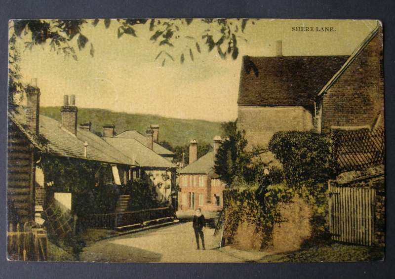 S. & W. Series Antique POSTCARD - Shere Lane