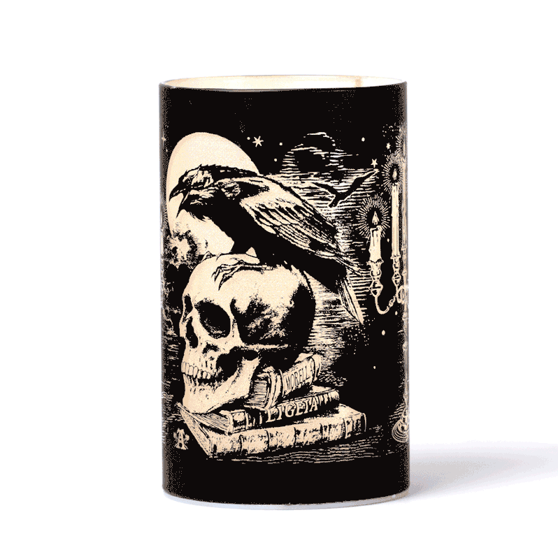 Alchemy Gothic LED6 Poe's Raven Lantern (batteries not included)