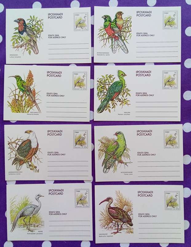 Ciskei - Postcards - Birds - Unused