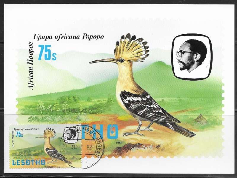 Lesotho - Birds - Maxi Card