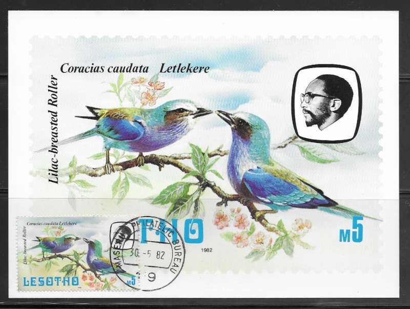 Lesotho - Birds - Maxi Card