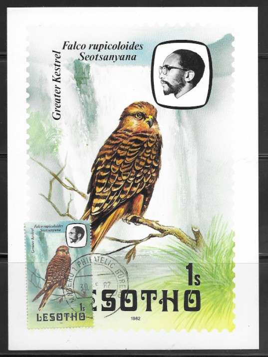Lesotho - Birds - Maxi Card