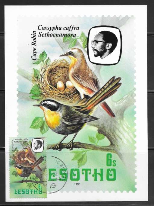 Lesotho - Birds - Maxi Card