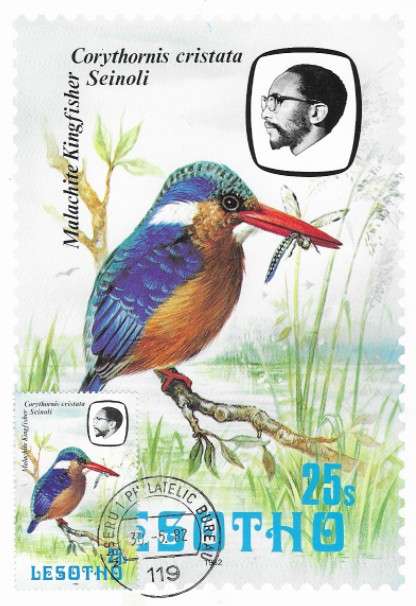Lesotho - Maxi Card - Birds