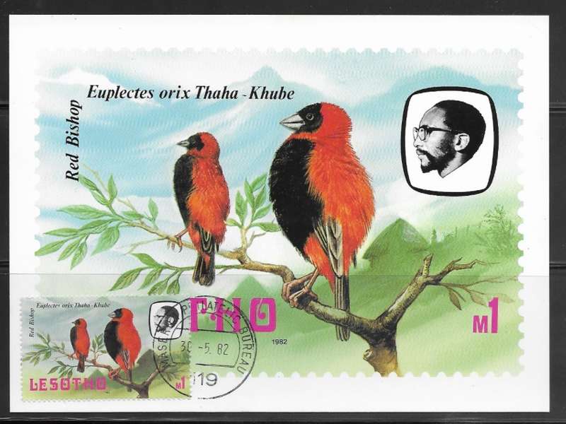 Lesotho - Birds - Maxi Card